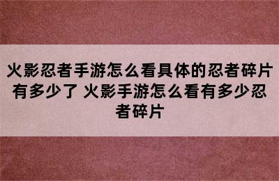 火影忍者手游怎么看具体的忍者碎片有多少了 火影手游怎么看有多少忍者碎片